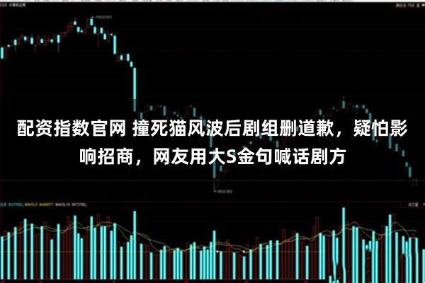 配资指数官网 撞死猫风波后剧组删道歉，疑怕影响招商，网友用大S金句喊话剧方